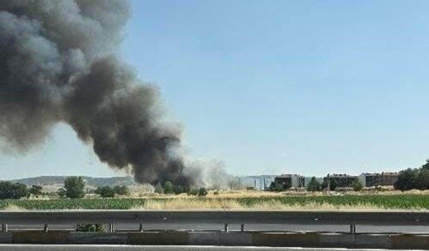 Sultandere 75. Yıl Yolu'nda Tarla Yangını Çıktı
