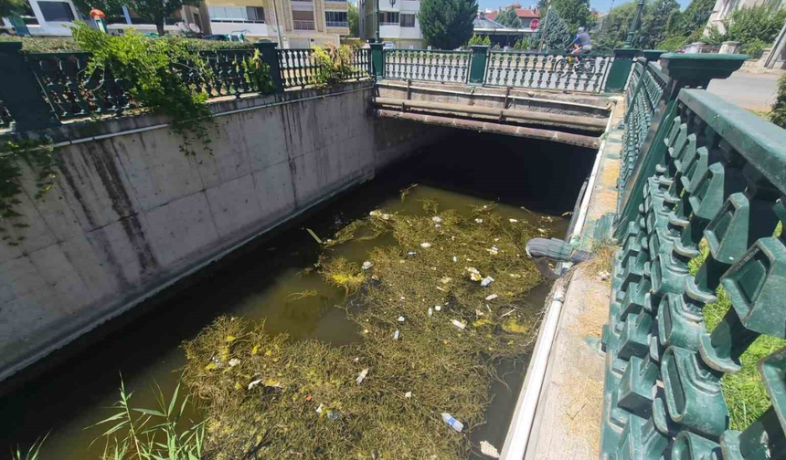 Porsuk Çayı’ndaki Kirlilik Tepki Çekiyor