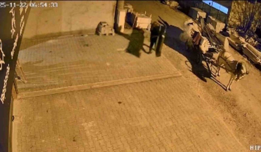 At arabalı hırsızlar aynı gün içinde yakalandı