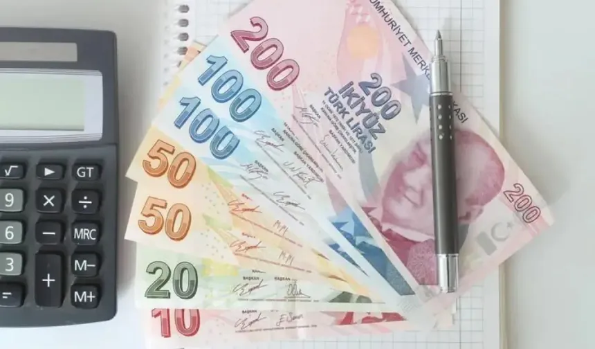 Beklenmedik Durumlara Karşı Finansal Güvence Sağlama Kılavuzu