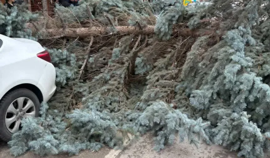 Eskişehir’de Fırtına Sebebiyle Kent Hayatı Olumsuz Etkileniyor