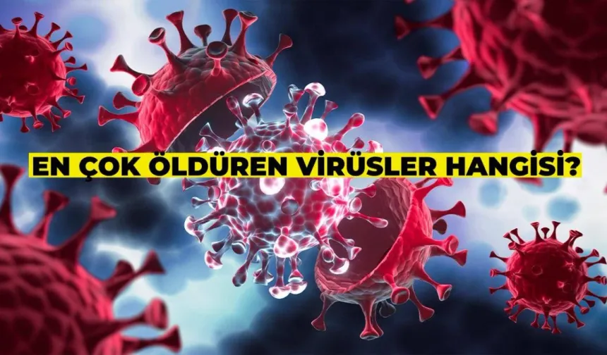 Geçmişten Bugüne: En Çok Öldüren Virüsler Hangileri?