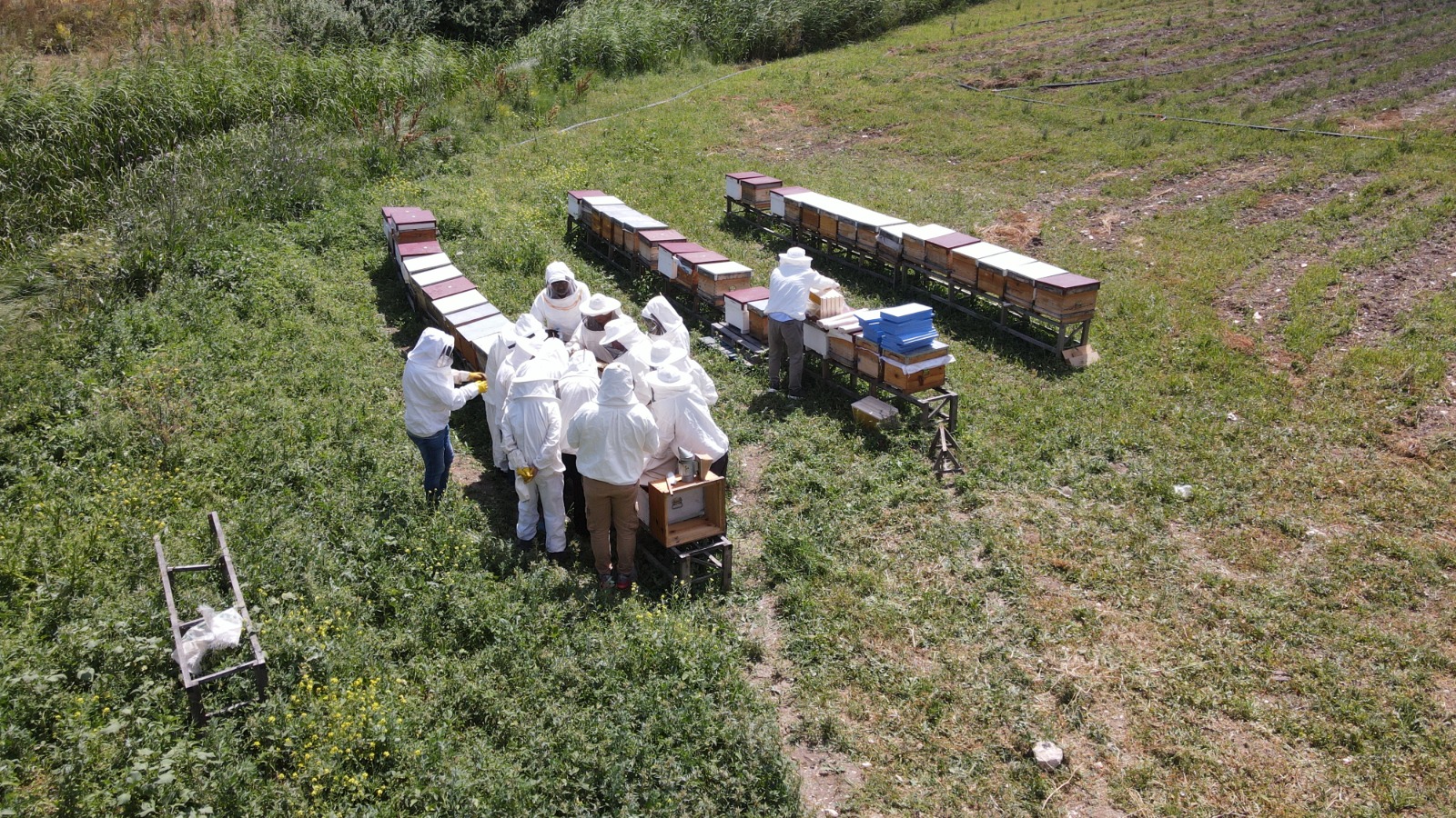 Arıköy Kayıtları Başlıyor (6)