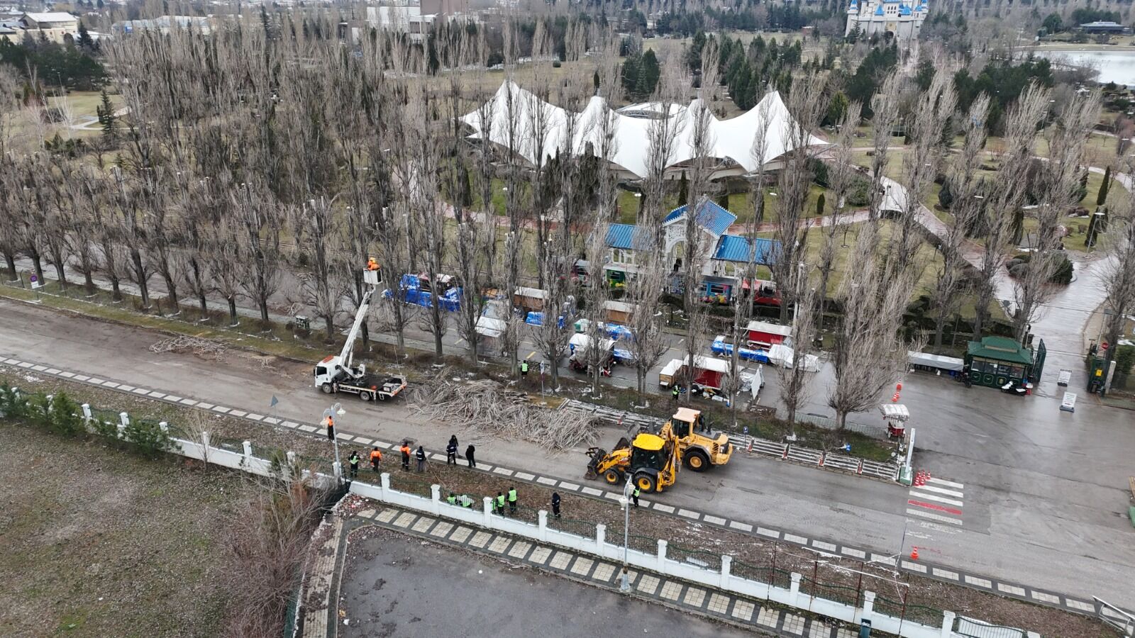 Ekolojik Ömrünü Tamamlayan Kavaklar O Alandan Kaldırılıyor (2)