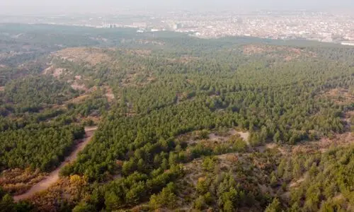 Eskisehir Kent Ormani 2 51492