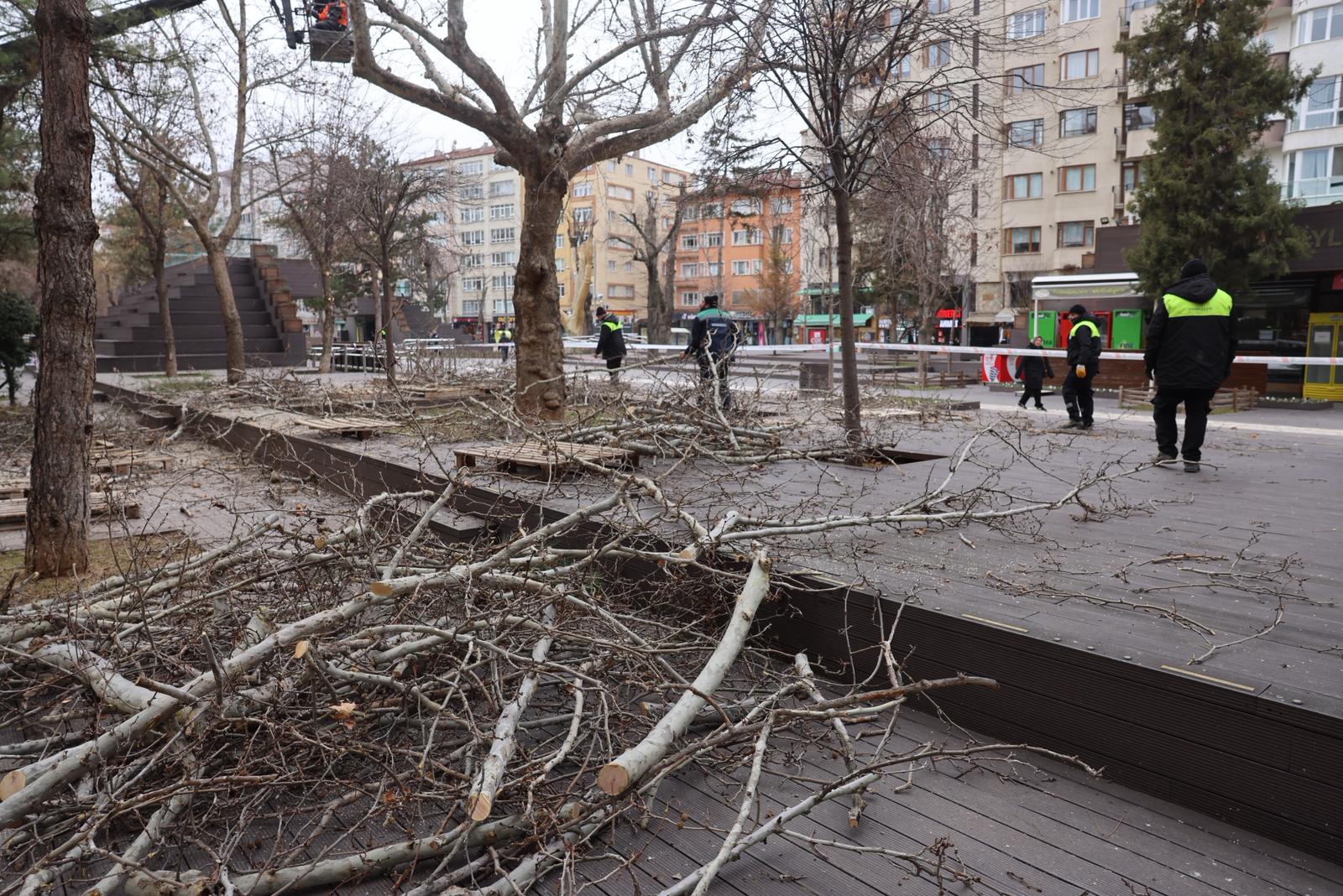 Hamamyolu’nda Ağaçlar Budanıyor (3)