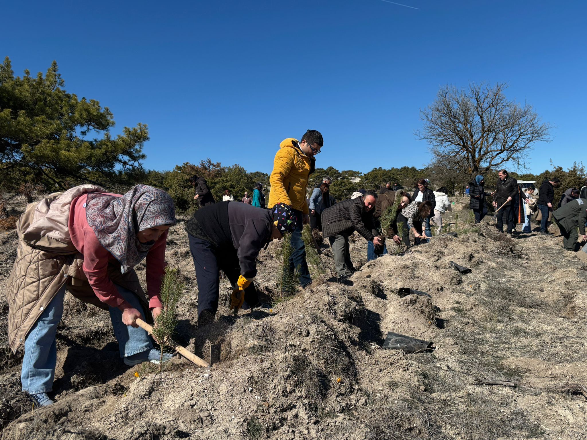 14 Mart Tıp Bayramı’nda Fidanlar Toprakla Buluştu (1)