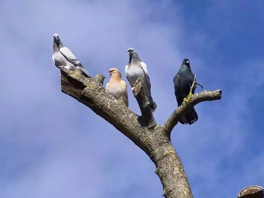 69C101Df9E08A5696Bc76D5C