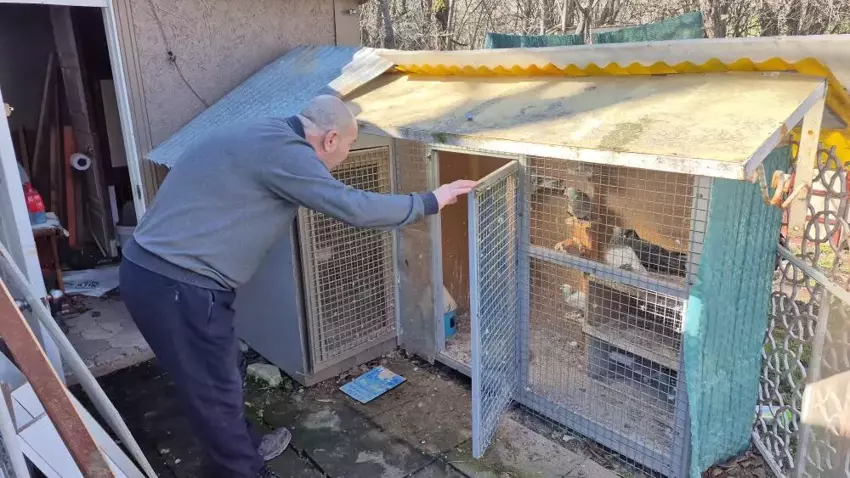 69C101E19E08A5696Bc76D60