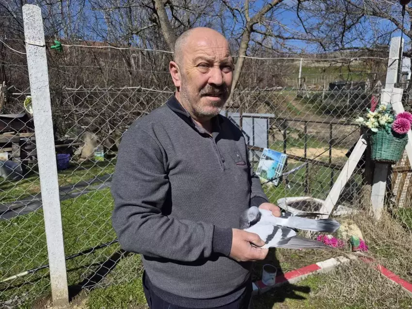 69C101E29E08A5696Bc76D66