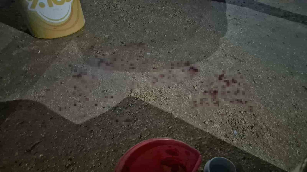 Alacak Verecek Kavgası Kanlı Bitti (2)