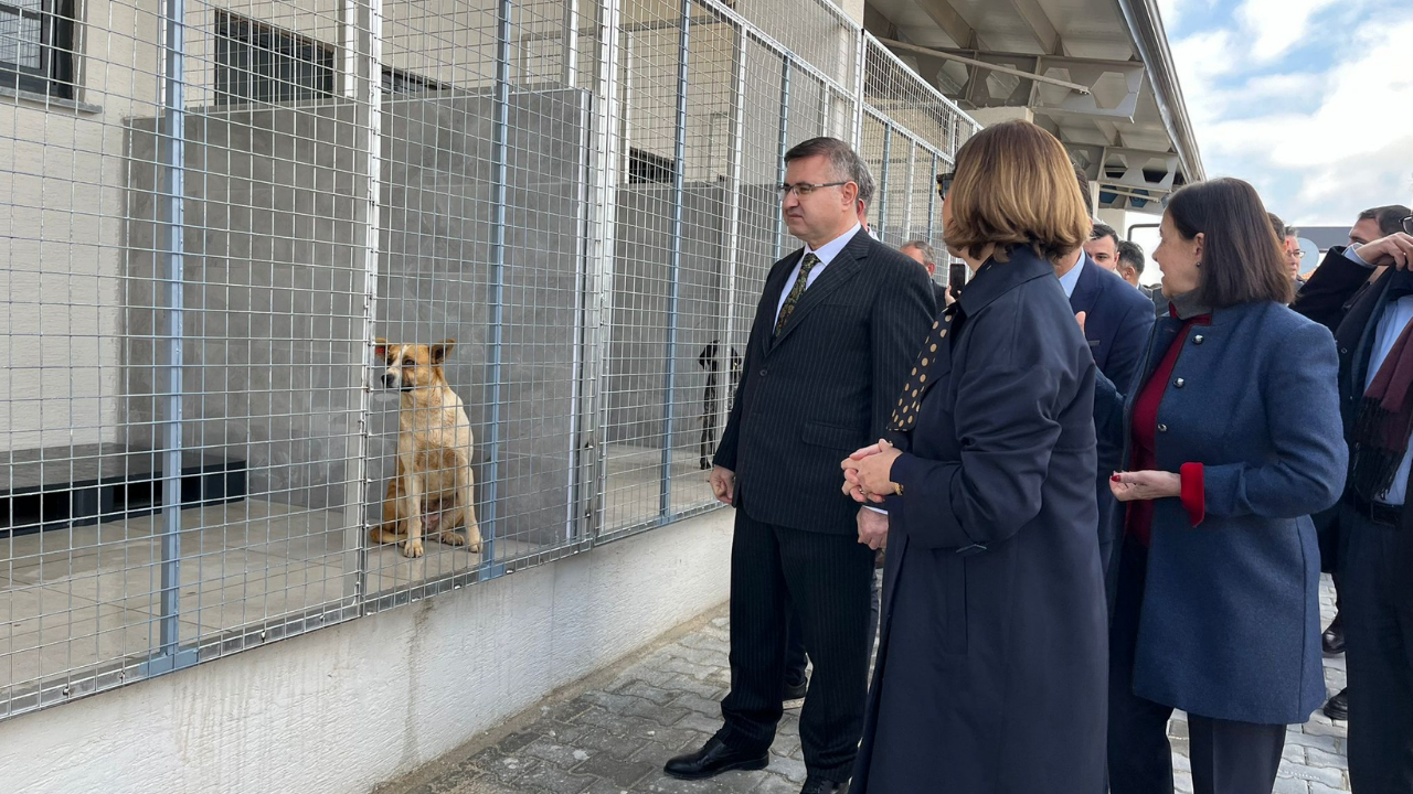 Eskişehir’de Hayvan Bakımevi Hizmete Açıldı (10) Kopya