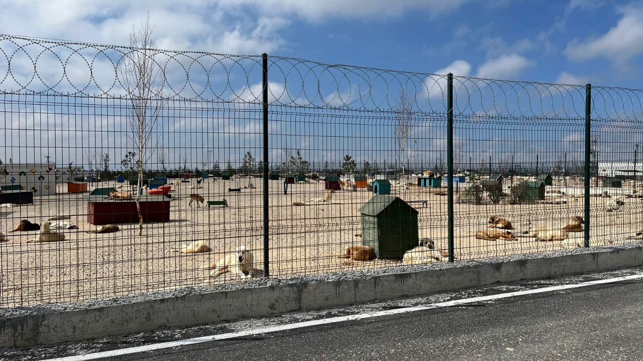 Eskişehir’de Hayvan Bakımevi Hizmete Açıldı (5) Kopya