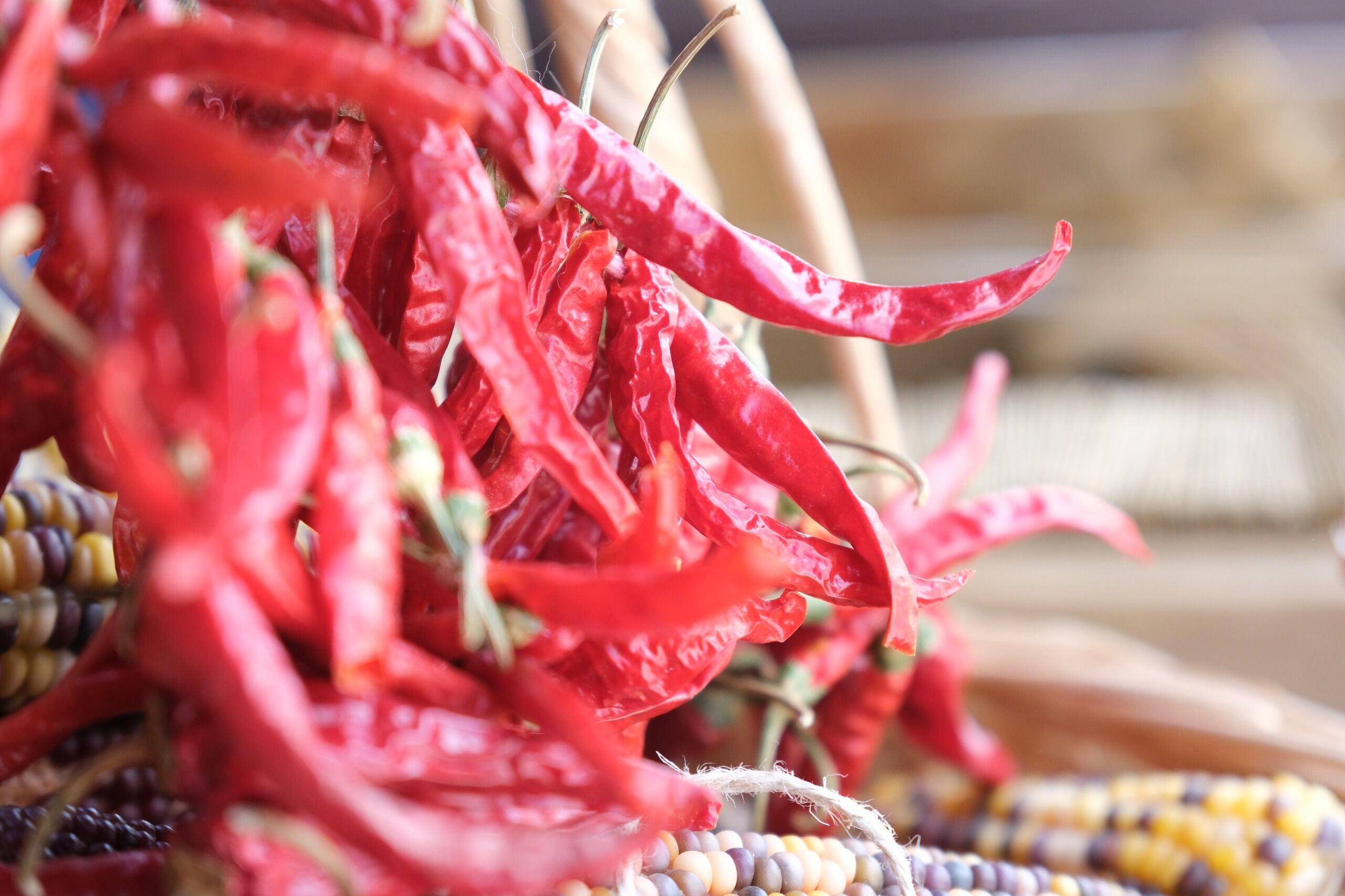 Eski̇şehi̇r’i̇n Yerel Tohumlari Türki̇ye’ni̇n Dört Bi̇r Yanina Ulaşiyor (9)