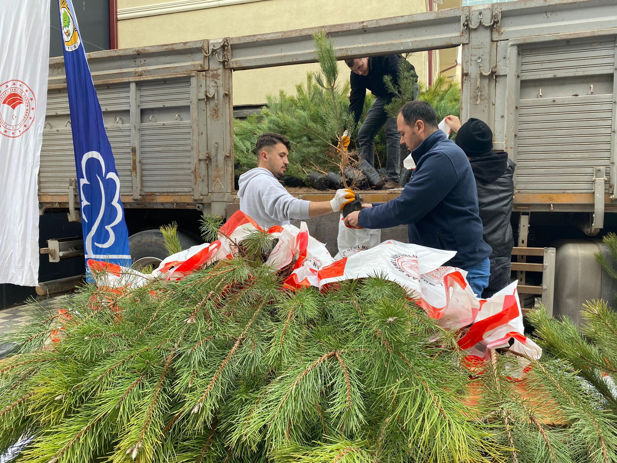 Eskişehirliler Kara Çam Fidanıyla Buluştu (4)