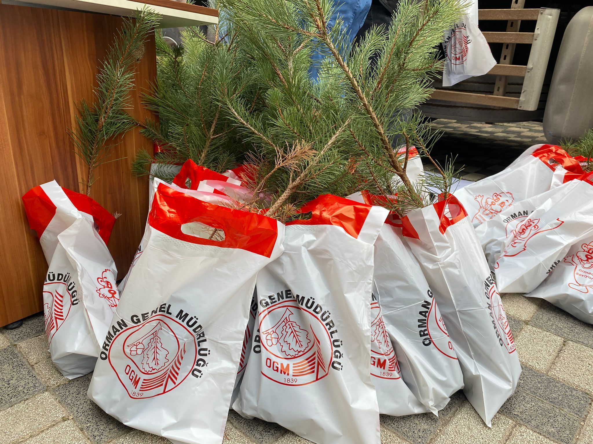 Eskişehirliler Kara Çam Fidanıyla Buluştu (5)