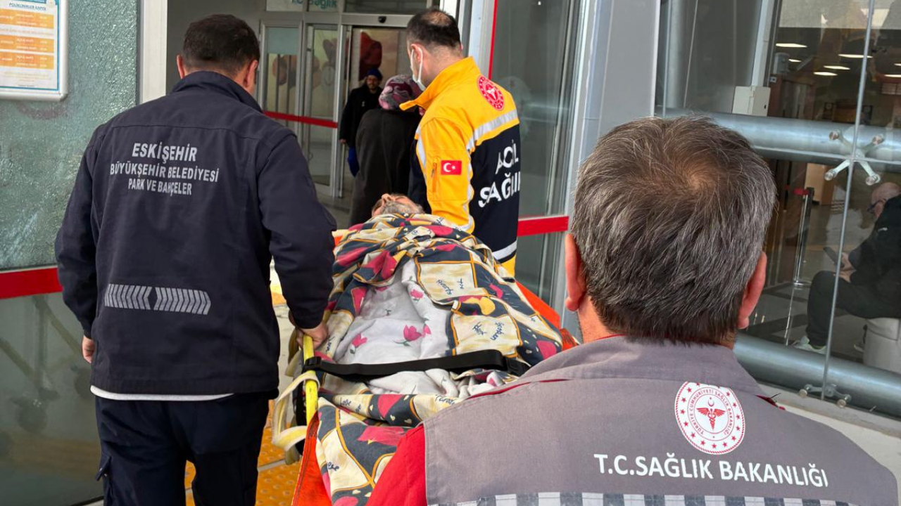 Evde Sağlık Ve Yaşam Hizmetleri 2025 Verileri Açıklandı (1)