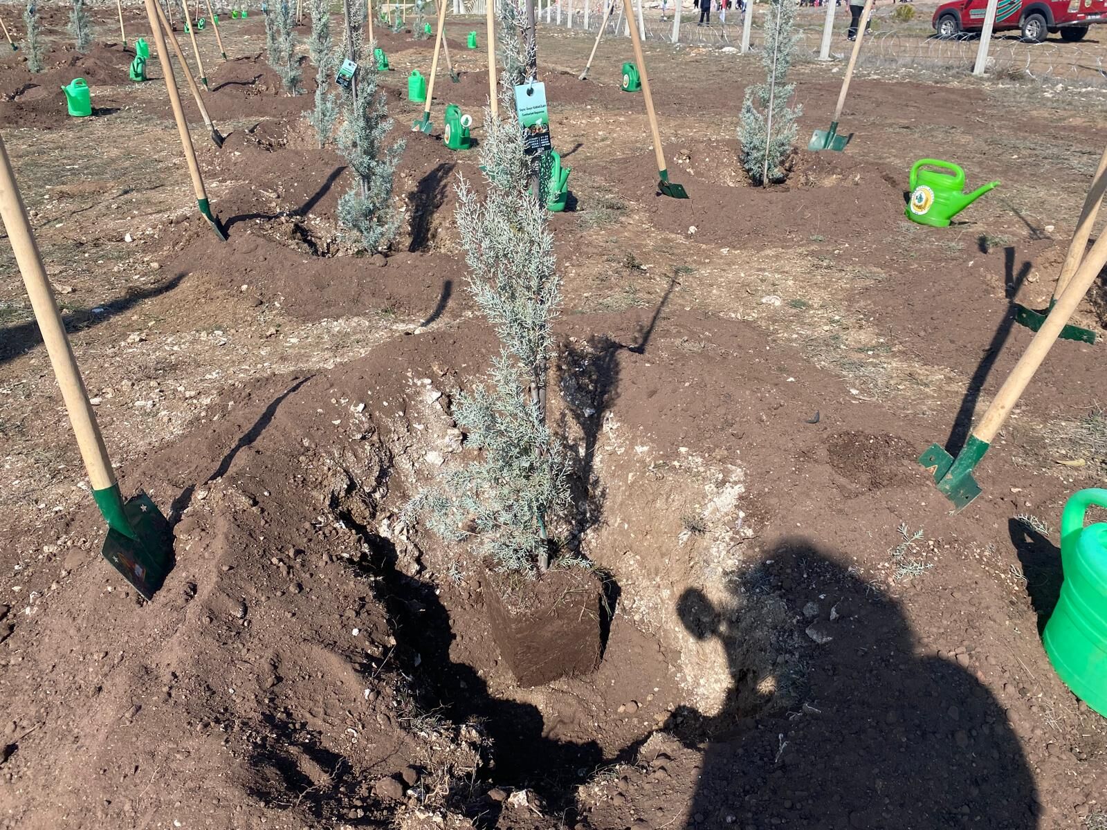 Fidanlar Toprakla Buluştu, Doğaya Umut Oidu (1)