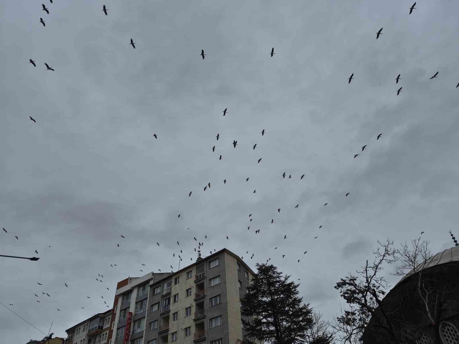 Leylek Göçü Başladı Eskişehir’de Kartpostallık Görüntü (2)