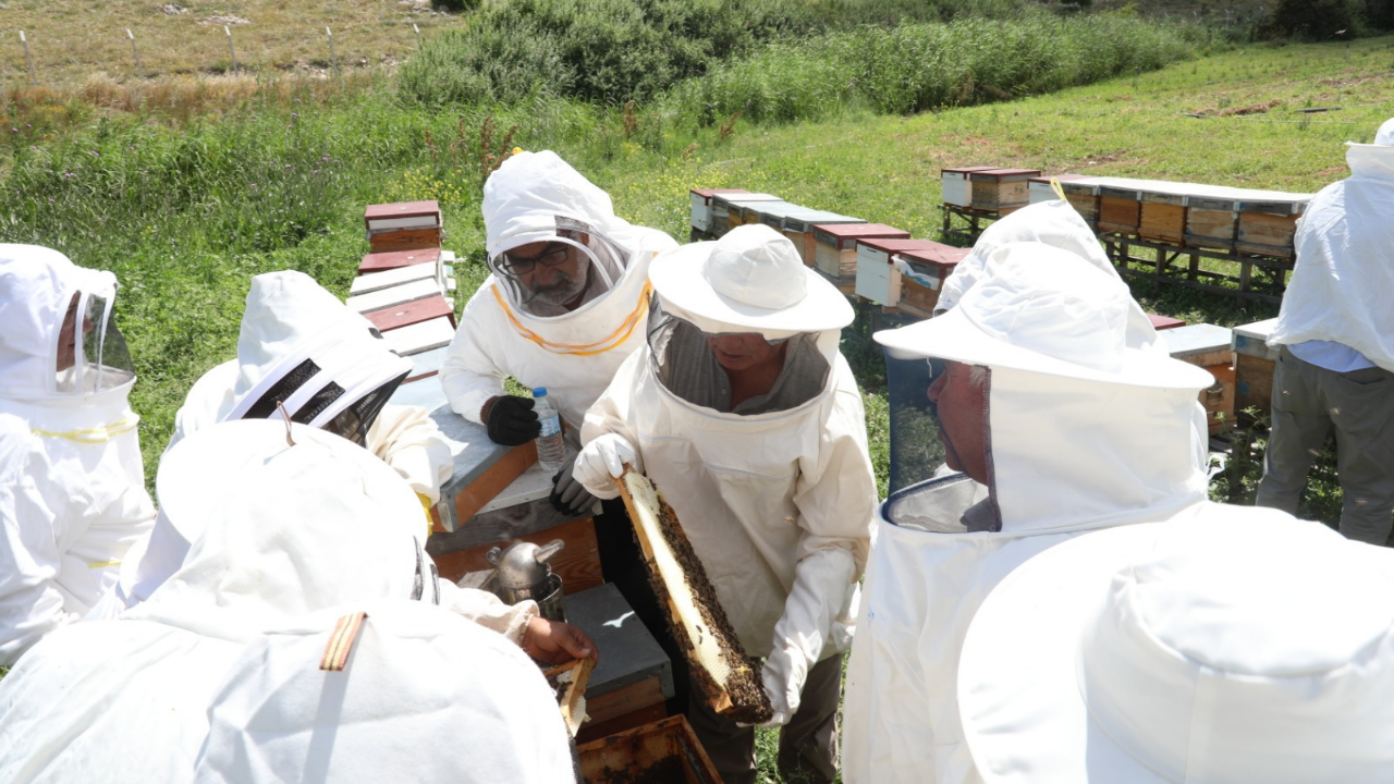 Odunpazarı'nda Kırsal Üretimi Destekleyecek Proje Başladı (2)