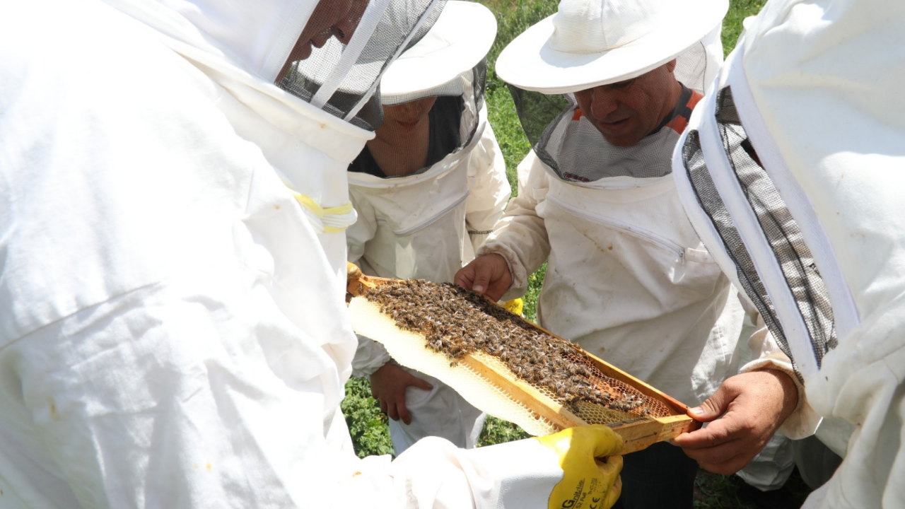 Odunpazarı'nda Kırsal Üretimi Destekleyecek Proje Başladı (3)
