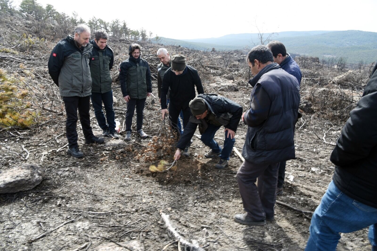 Seyitgazi’de Yanan Orman İçin Ağaçlandırma Başladı (8)