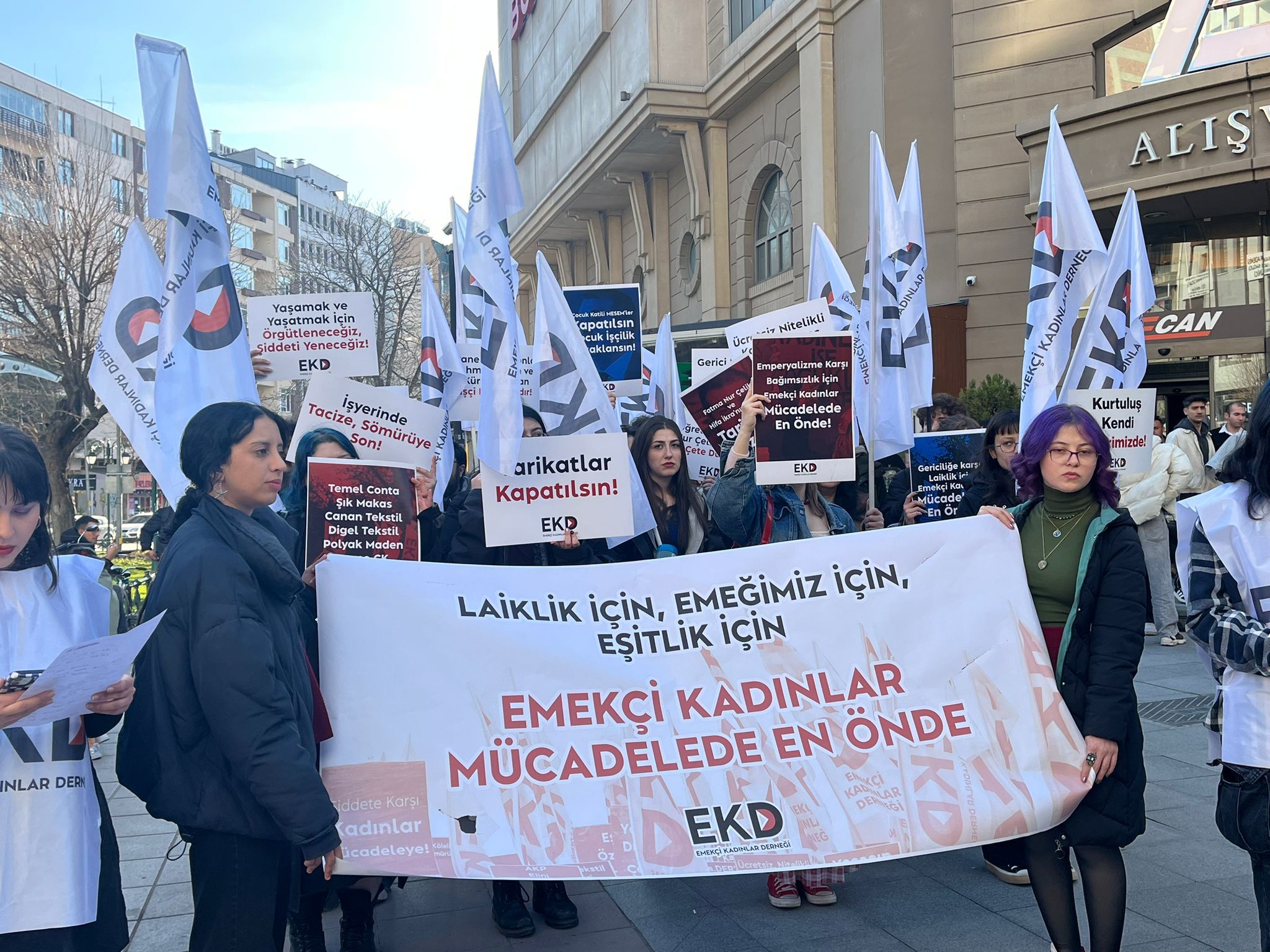 Whatsapp Image 2026 03 08 At 16.49.35