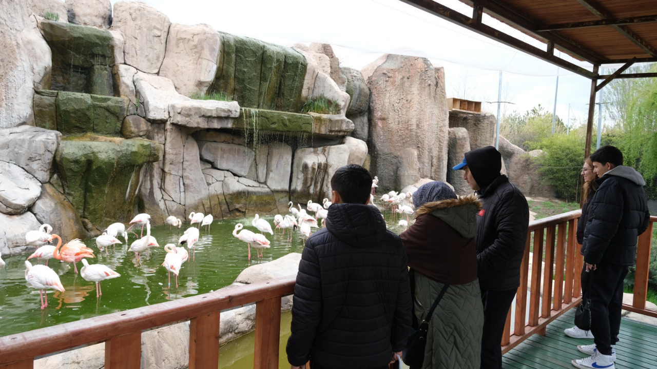 23 Nisan Coşkusu Parklara Ve Sahnelere Taştı (3)