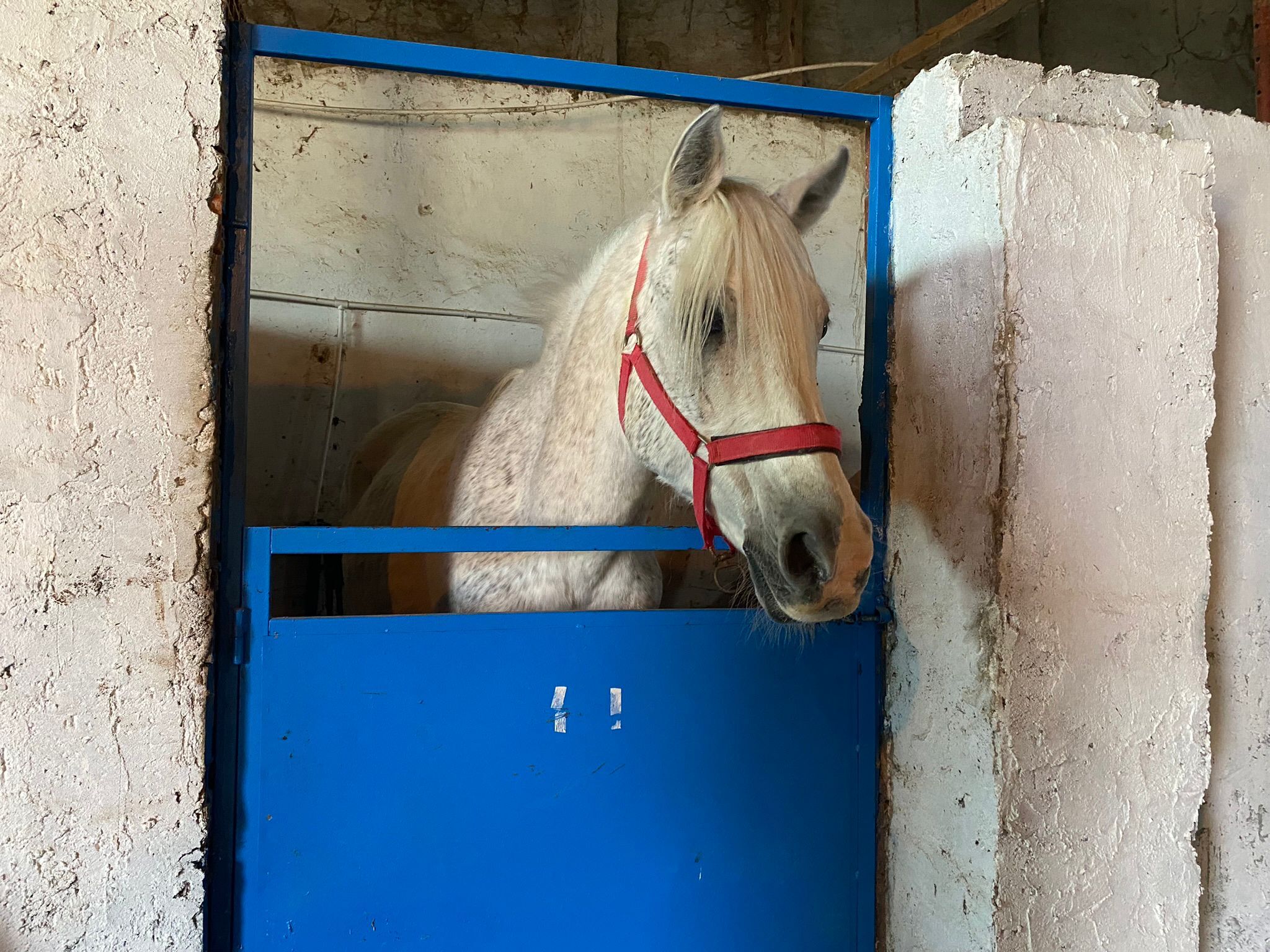 At Ve Ok Nesiller Boyu Türk Kültüründe Yaşatılıyor (4)