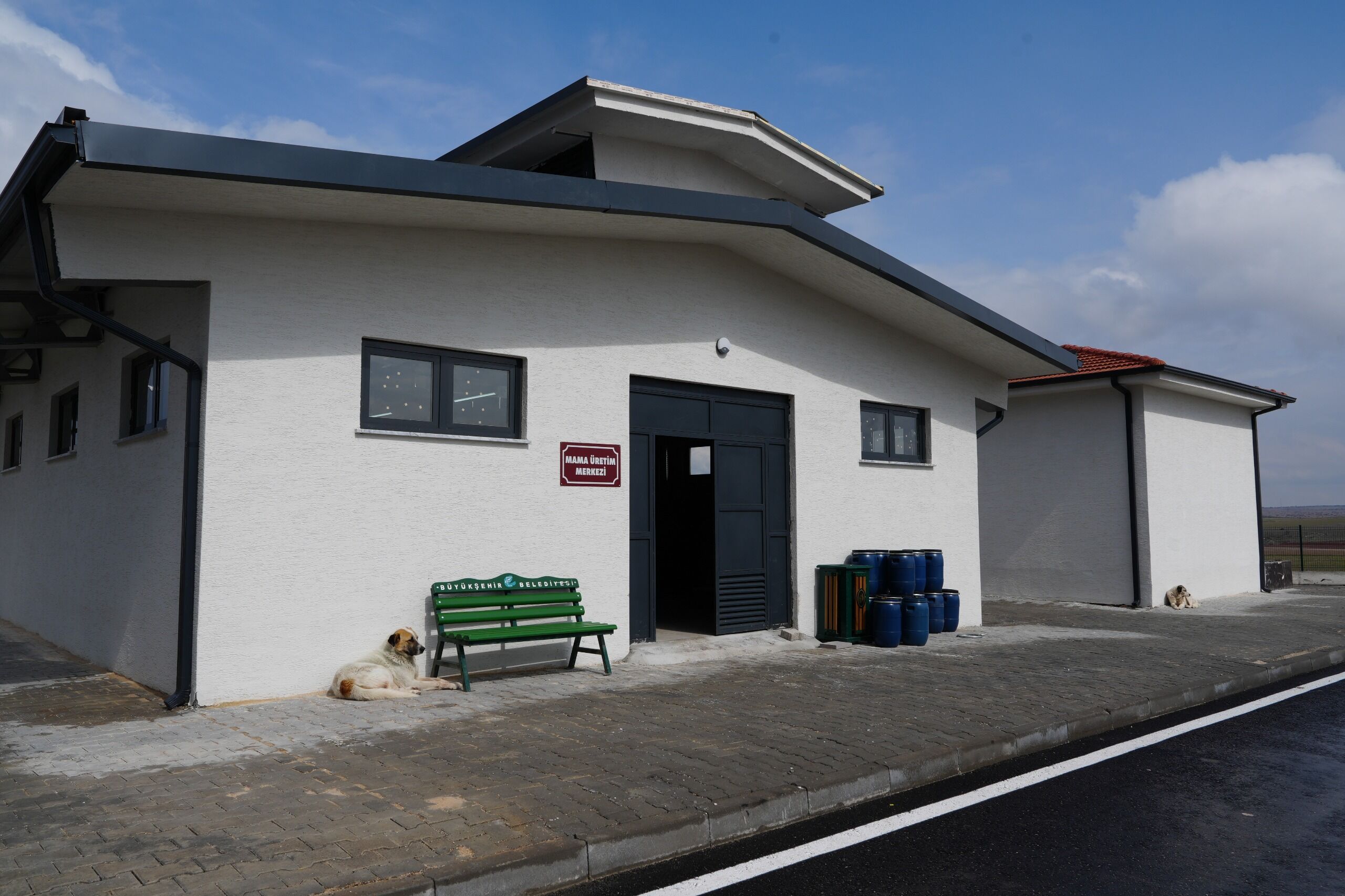 Atık Yemekler Sokak Hayvanlarına Mama Oluyor (2)