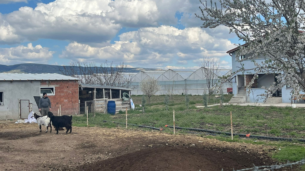 Cezalar Bitmiyor Çiftçi İsyanda! (1)