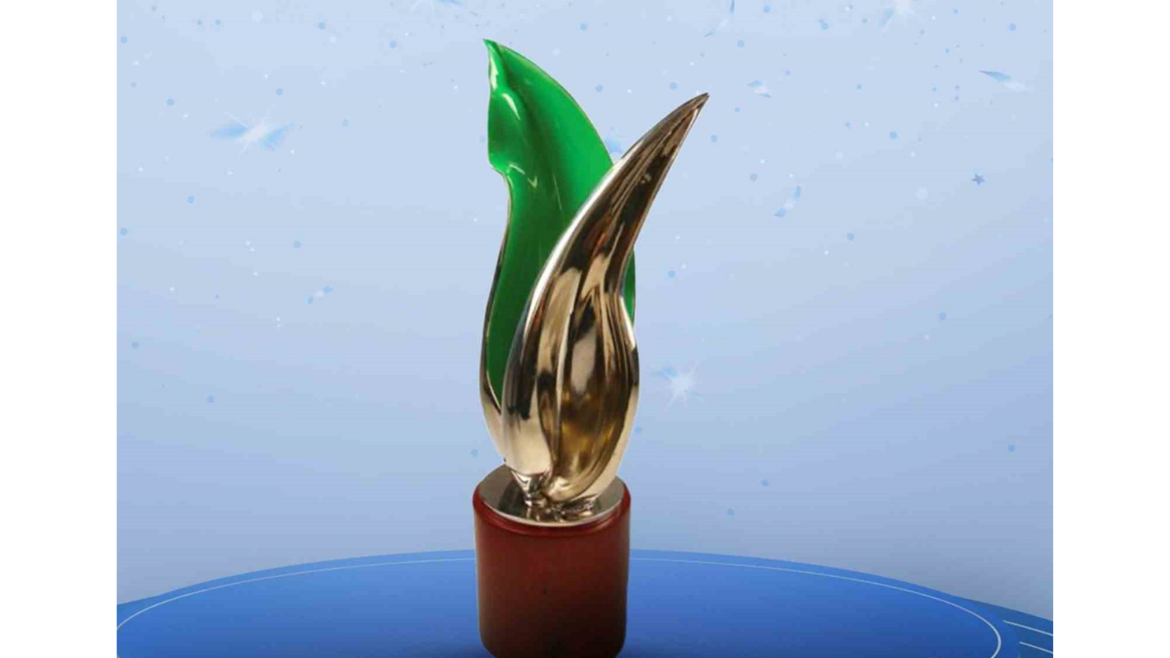 “Enerjimiz Eşit” Projesine Uluslararası Ödül (1)