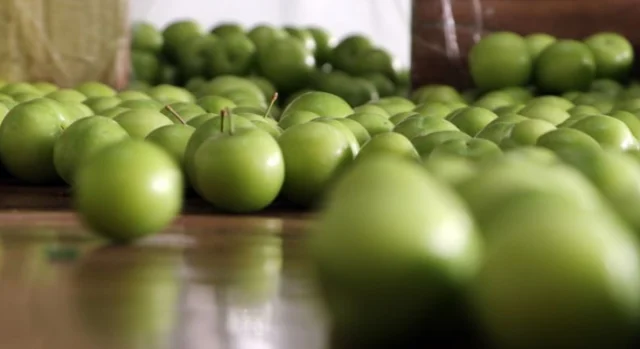 Erik Ne Zaman Cikar Erik Cikti B72104B00D 9943 1 M