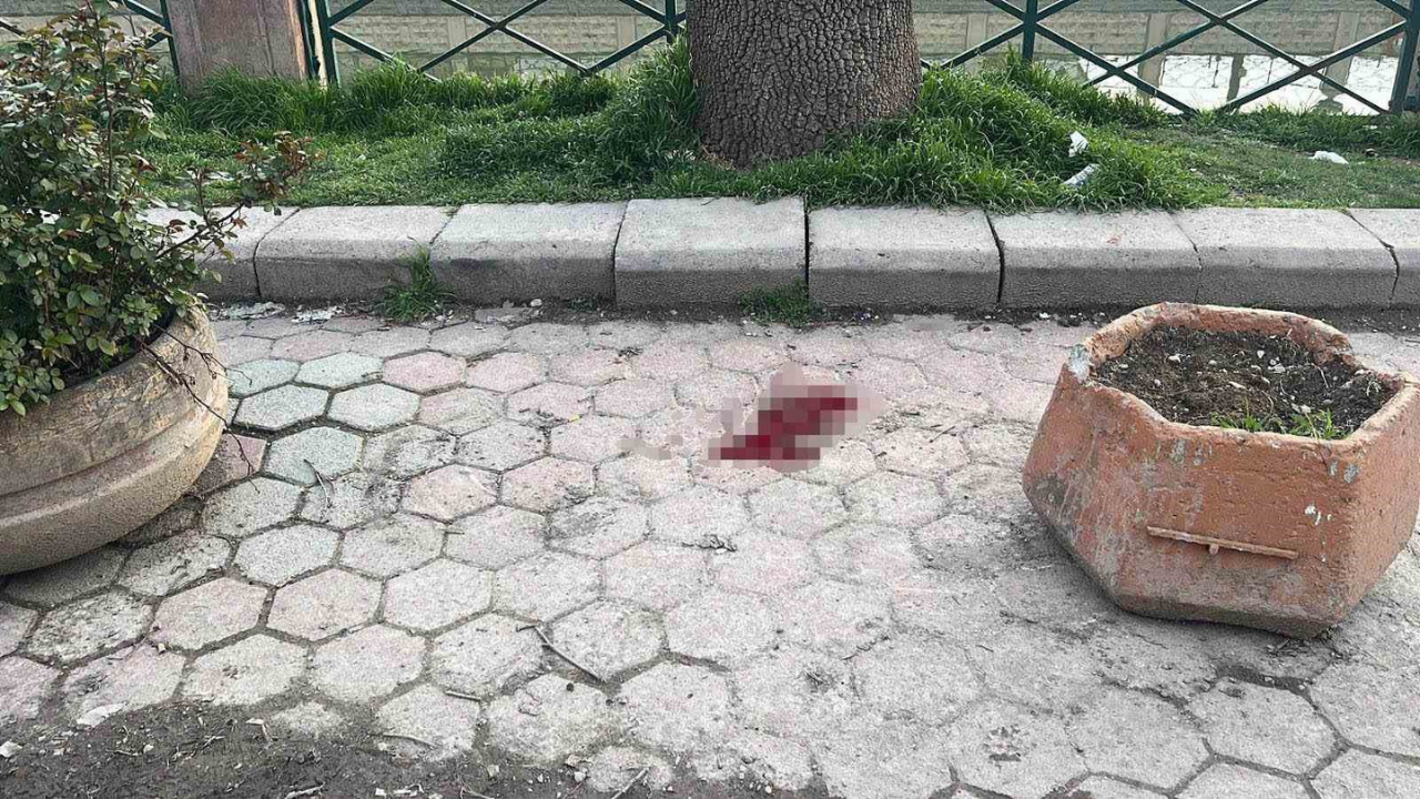 Eskişehir'de Bıçaklı Kavga Sonucu 1 Kişi Yaralandı (2)