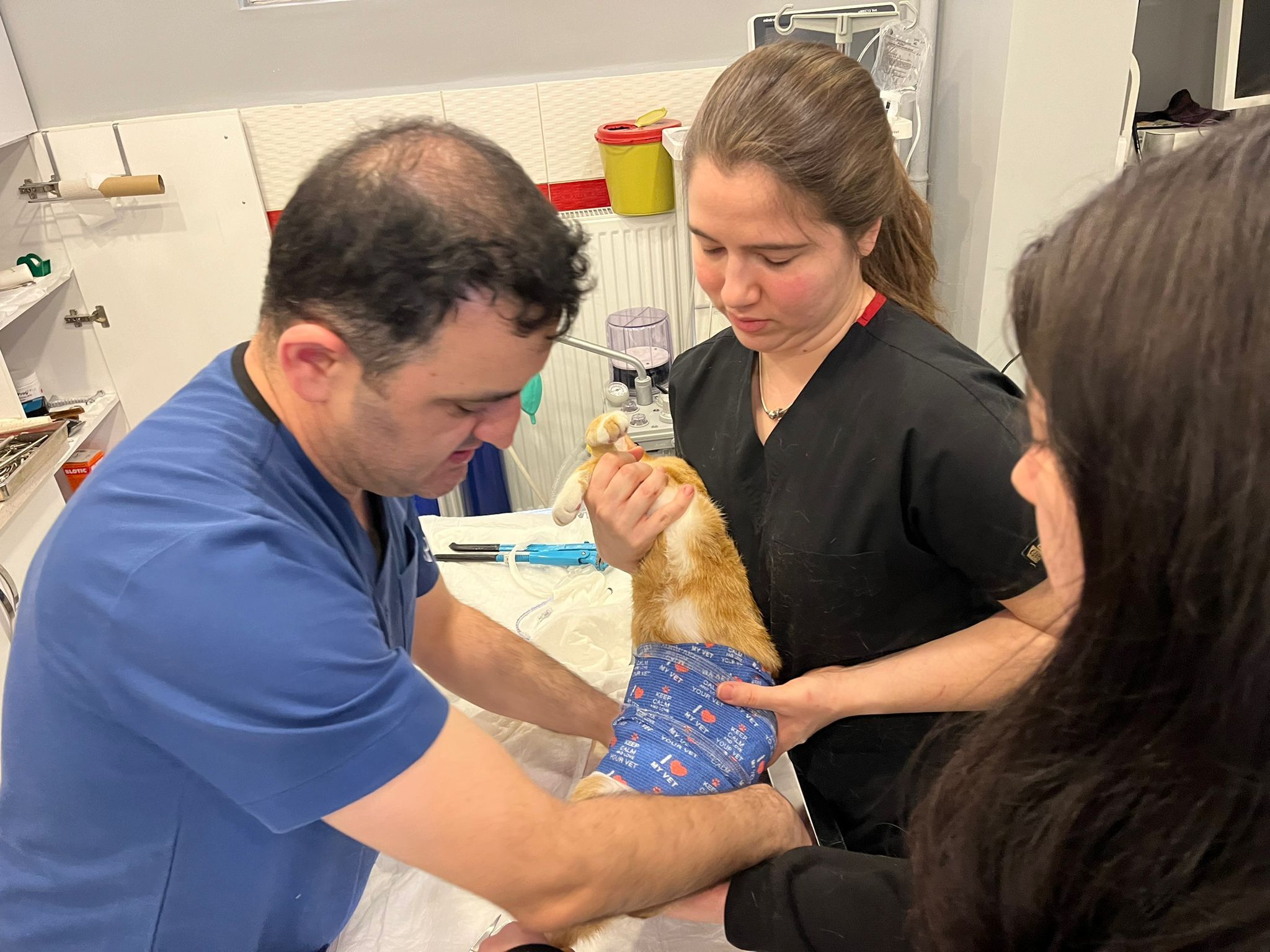 Eskişehir’de Bir İlk Kedi Bodhi Bu Tedaviyle Tekrar Yürüyecek! (1)-1