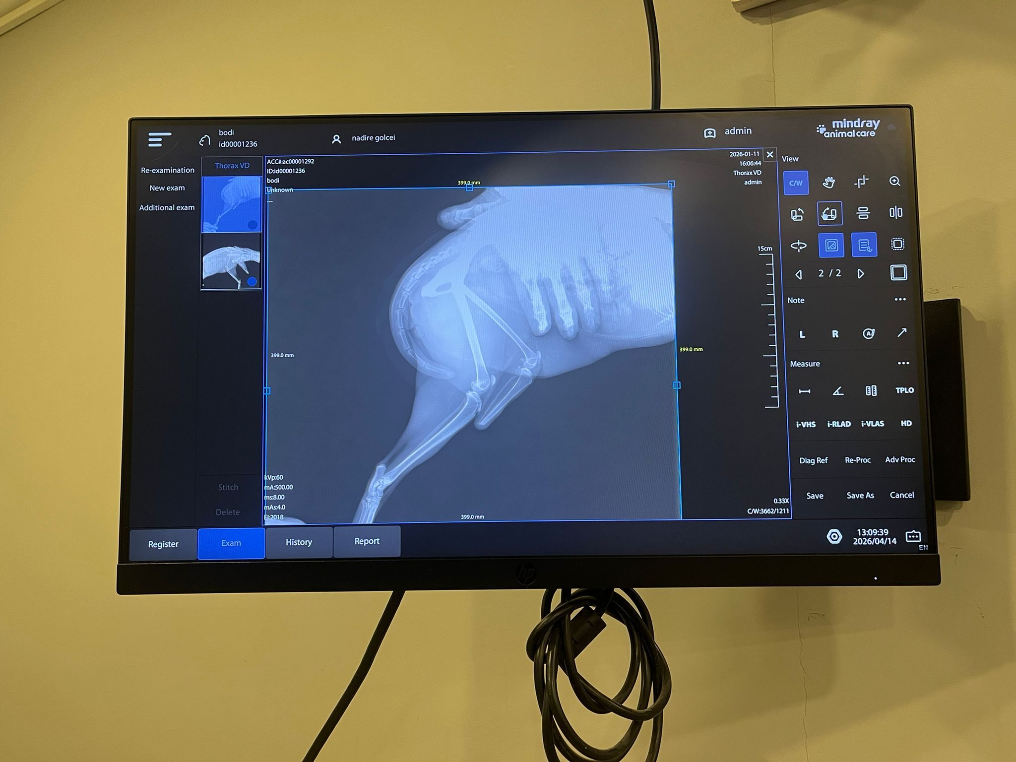 Eskişehir’de Bir İlk Kedi Bodhi Bu Tedaviyle Tekrar Yürüyecek! (2)