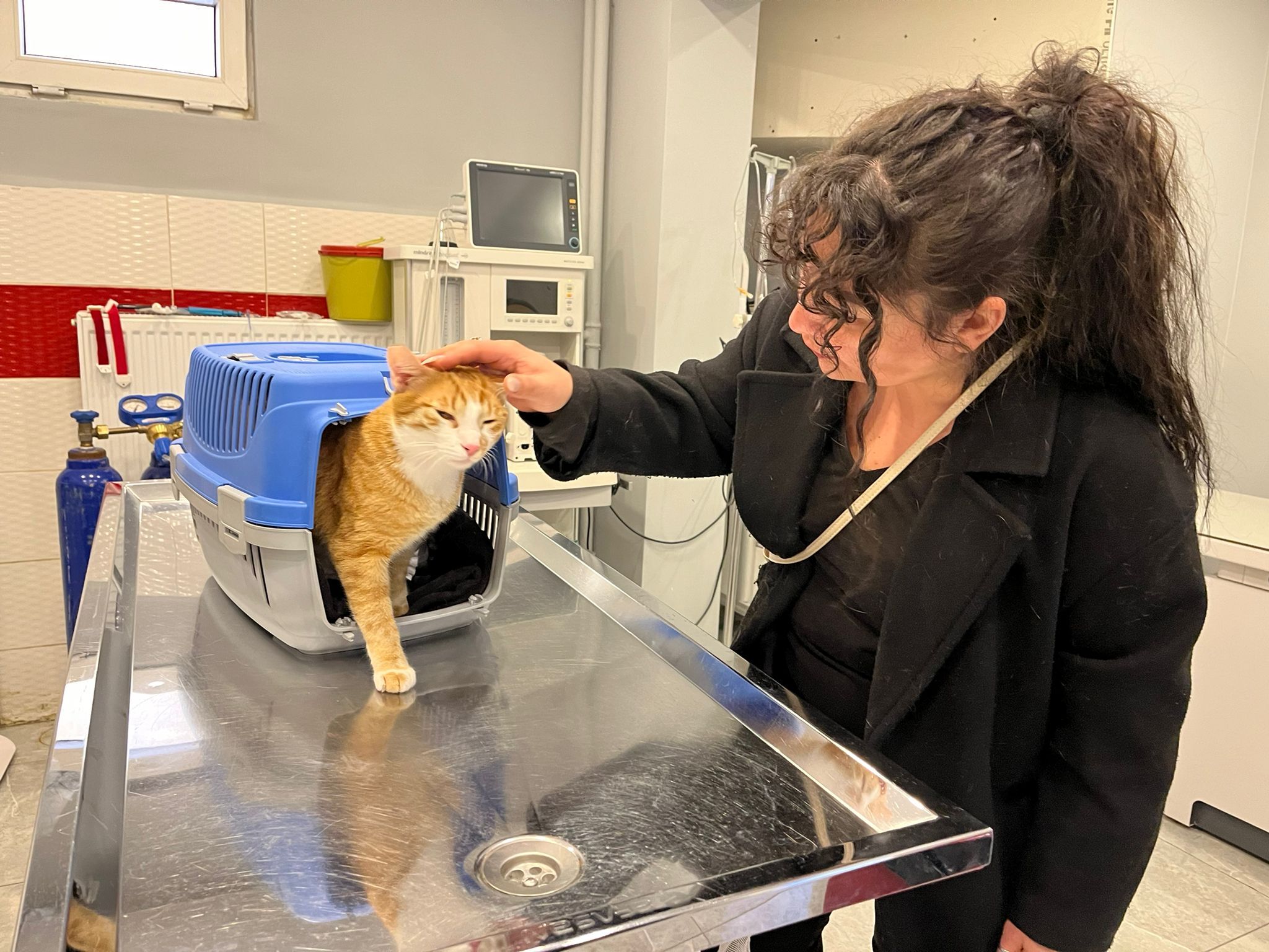 Eskişehir’de Bir İlk Kedi Bodhi Bu Tedaviyle Tekrar Yürüyecek! (6)