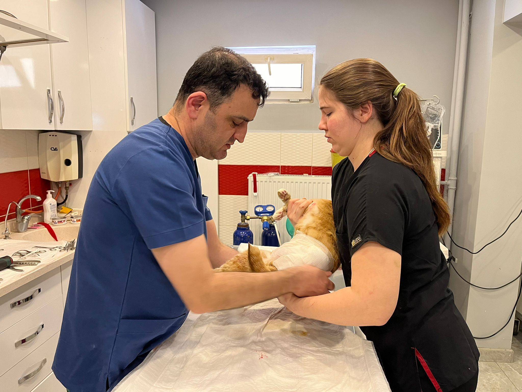 Eskişehir’de Bir İlk Kedi Bodhi Bu Tedaviyle Tekrar Yürüyecek! (9)