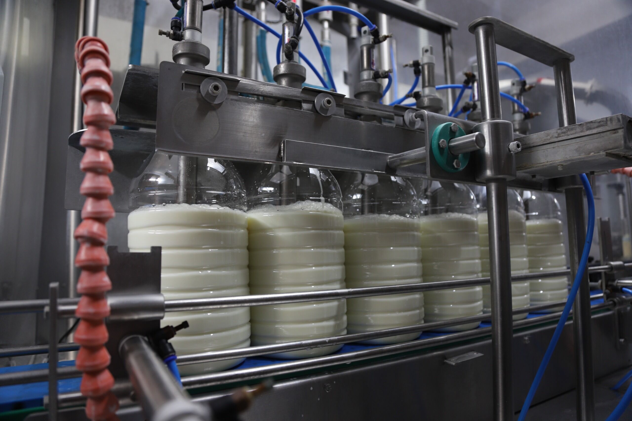 Eskişehir’de Halk Süt Üretimi Rekor Kırdı (2)