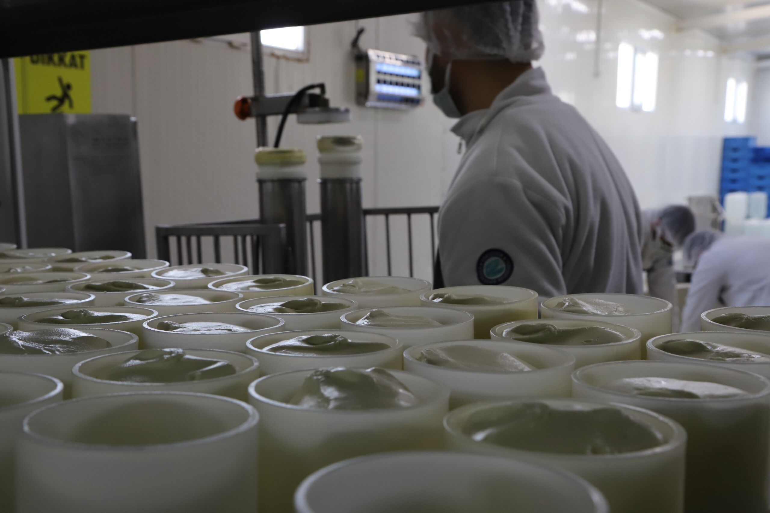 Eskişehir’de Halk Süt Üretimi Rekor Kırdı (8)