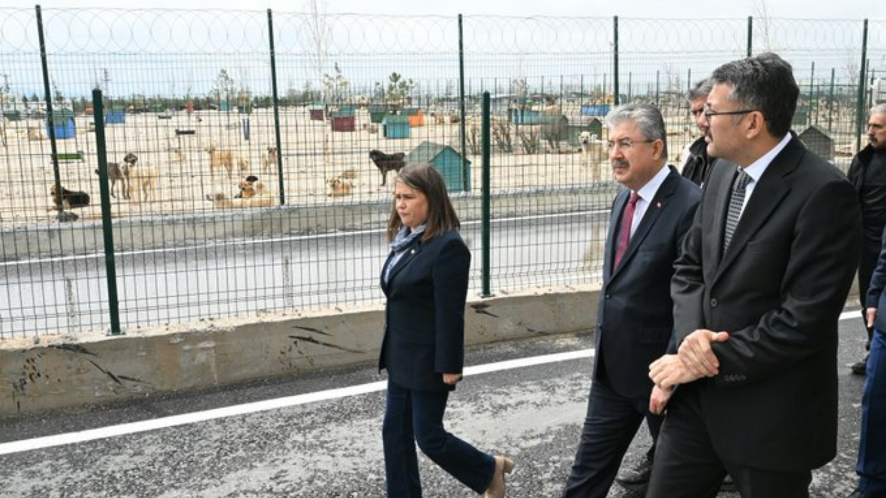 Eskişehir’de Hayvan Barınakları İçin Toplantı Yapıldı (3)