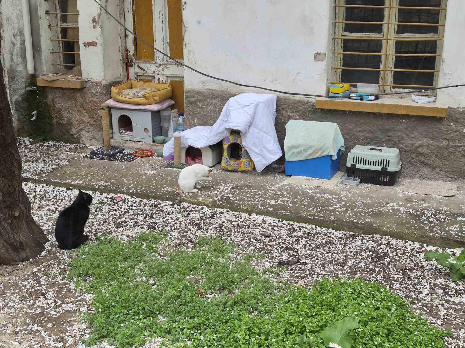 Eskişehir'de Hayvanseverlerin O Yazısı Dikkat Çekti (2)