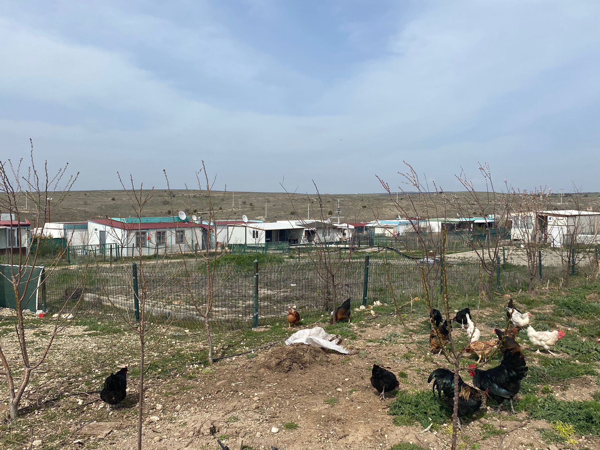 Eskişehir’de Hobi Bahçesi Sahipleri Ses Yükseltti (8)