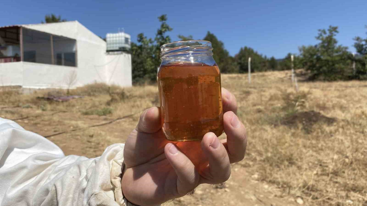 Eskişehir'in Balı Dünya'da Zirveye Yerleşti (2)