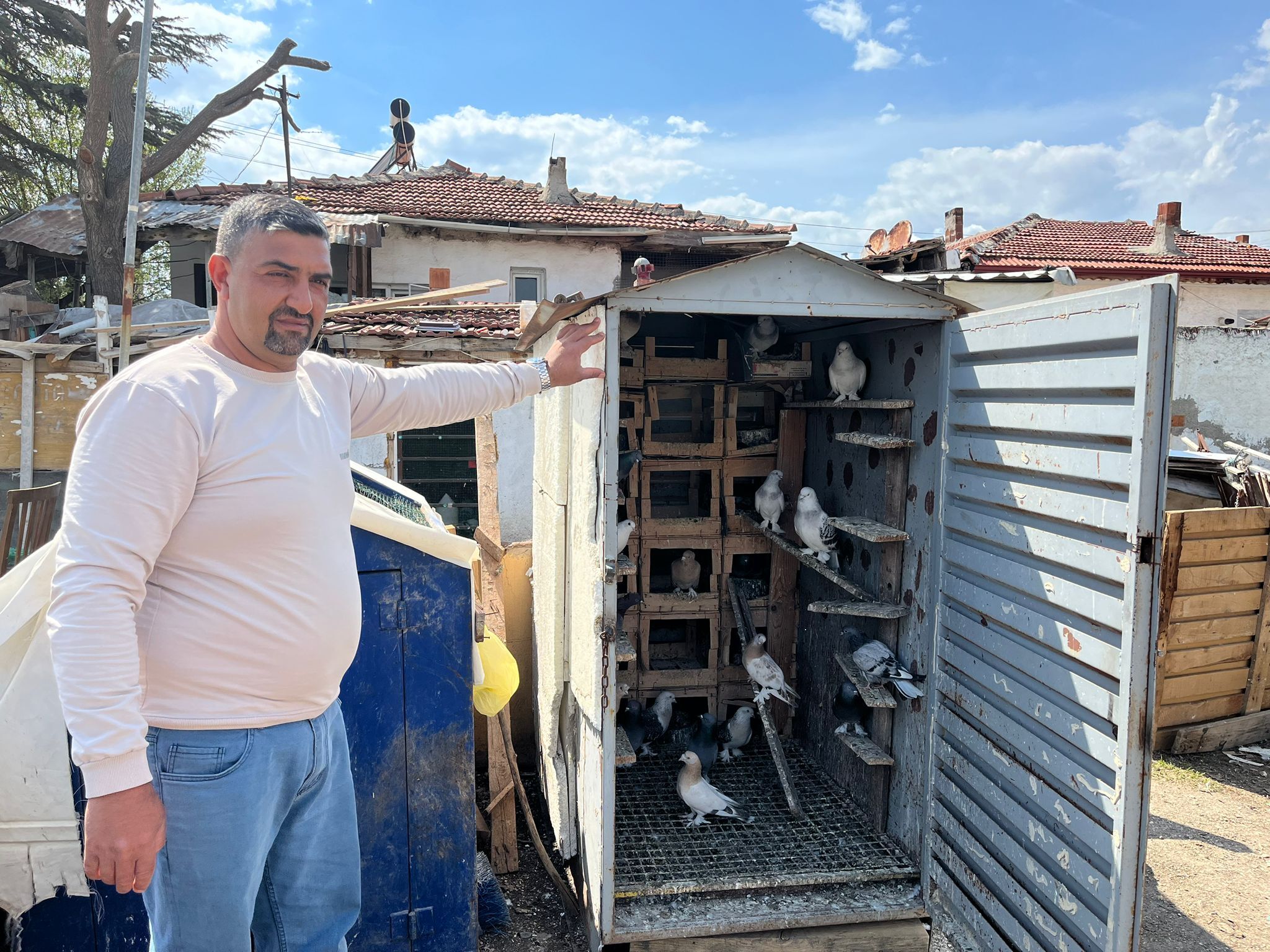 Güvercin Tutkusu Kupaya Dönüştü Bakım, Emek Ve Sabır (2)
