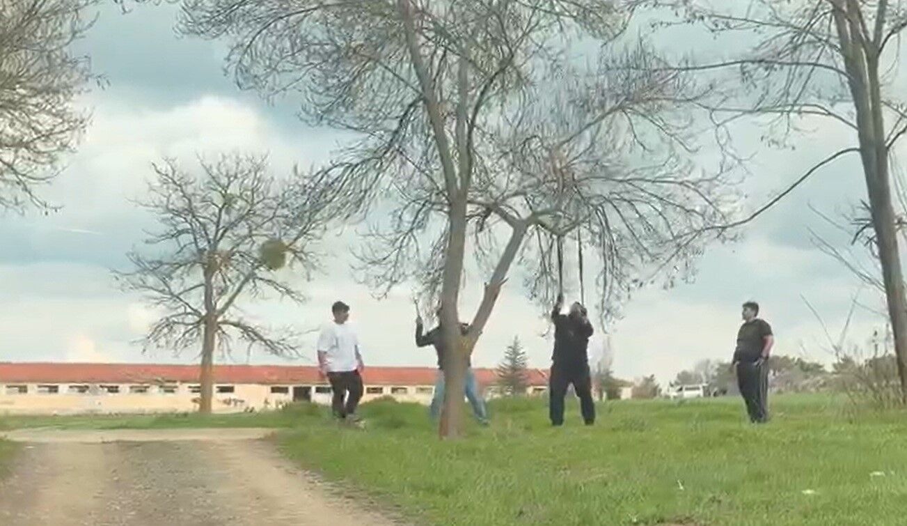 Mangal İçin Ağacın Dalını Kırmaya Çalıştılar (2)