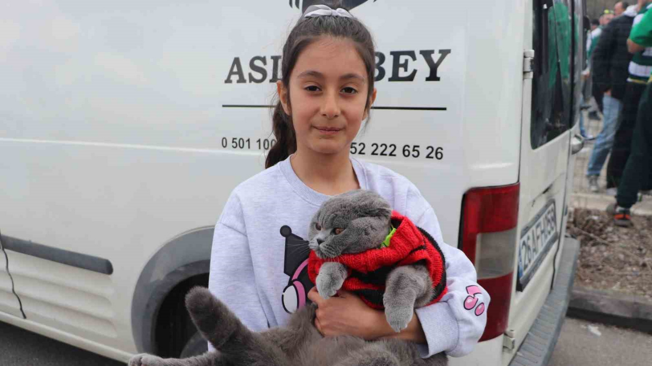 Minik Taraftar Kedisiyle Tribünde (2)