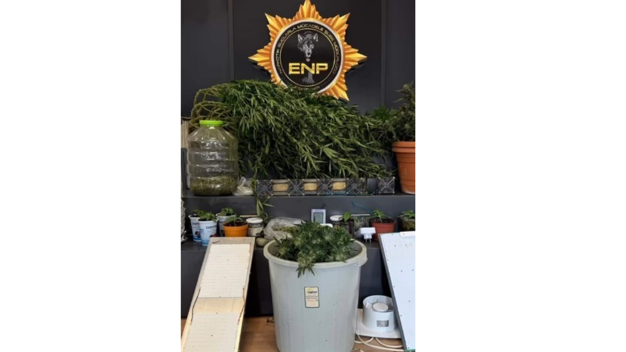 Narkotik Operasyonlarında 197 Şüpheli Yakalandı (1)