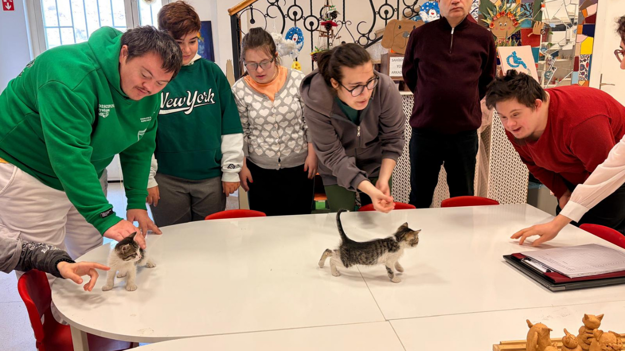 Özel Çocuklardan Sokak Hayvanlarına Yuva (4)