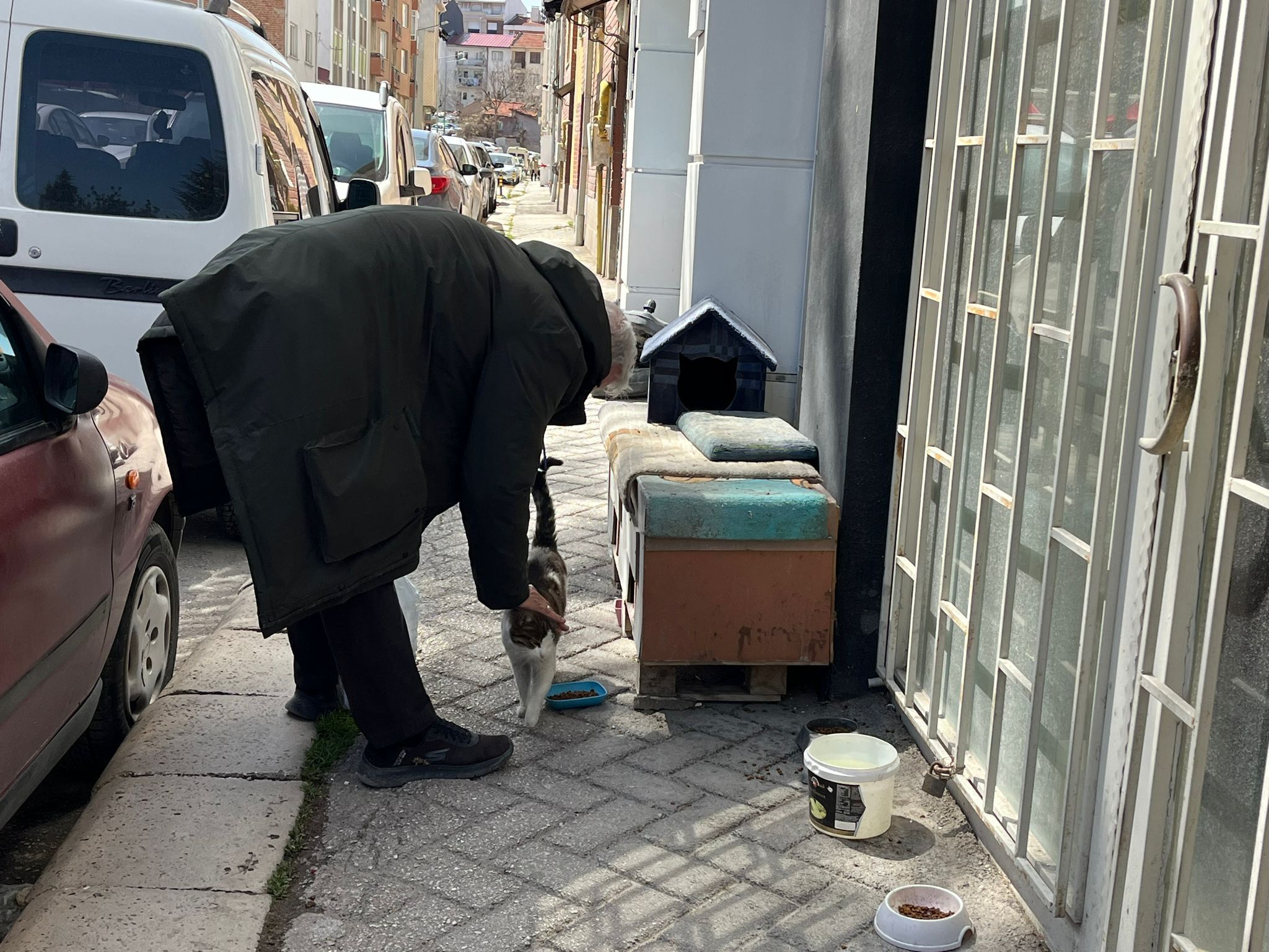 Pastanede Satılan Kitap Sokak Hayvanlarına Destek Oldu (8)